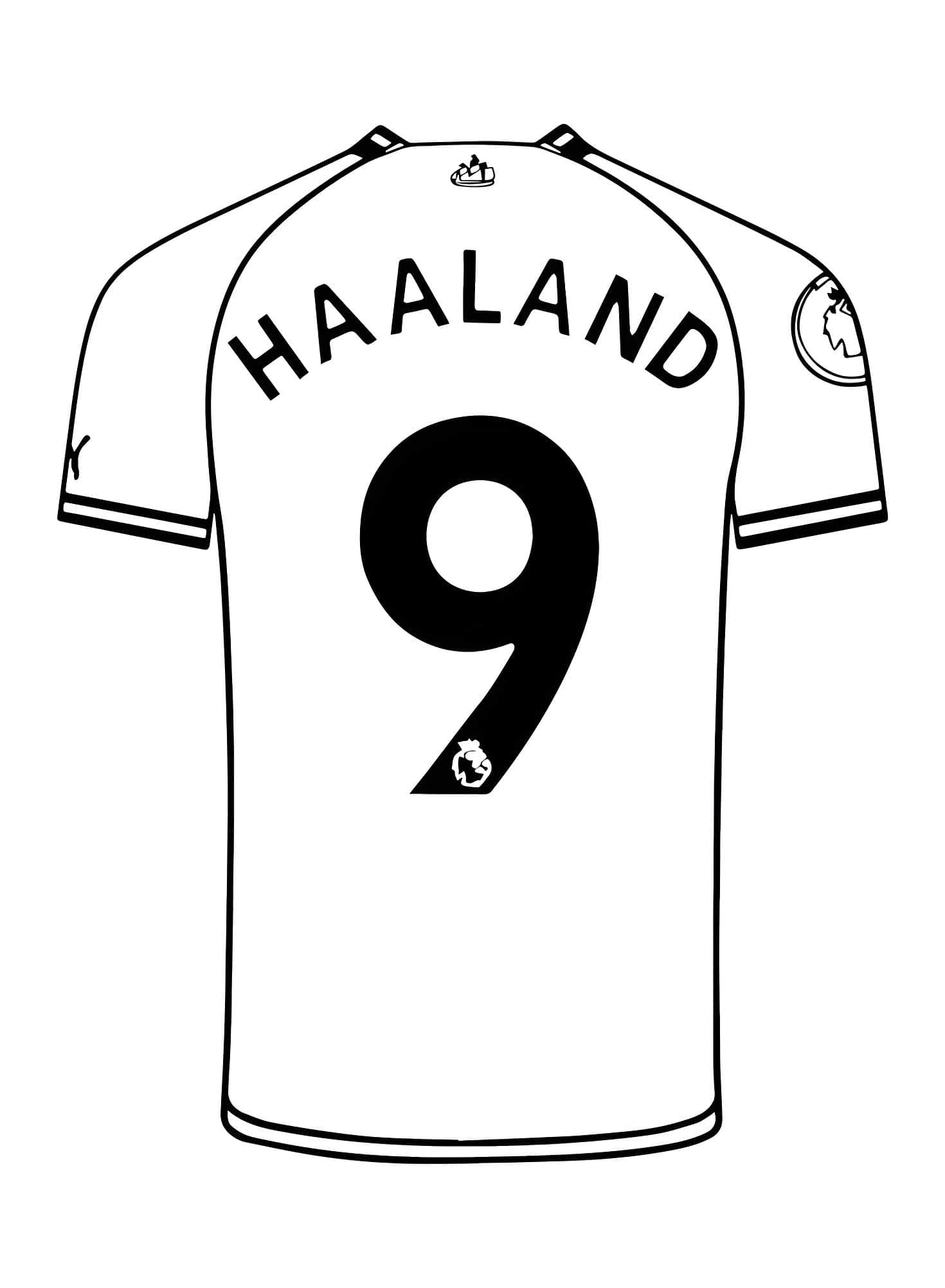 Camiseta De Erling Haaland Para Imprimir Y Colorear
