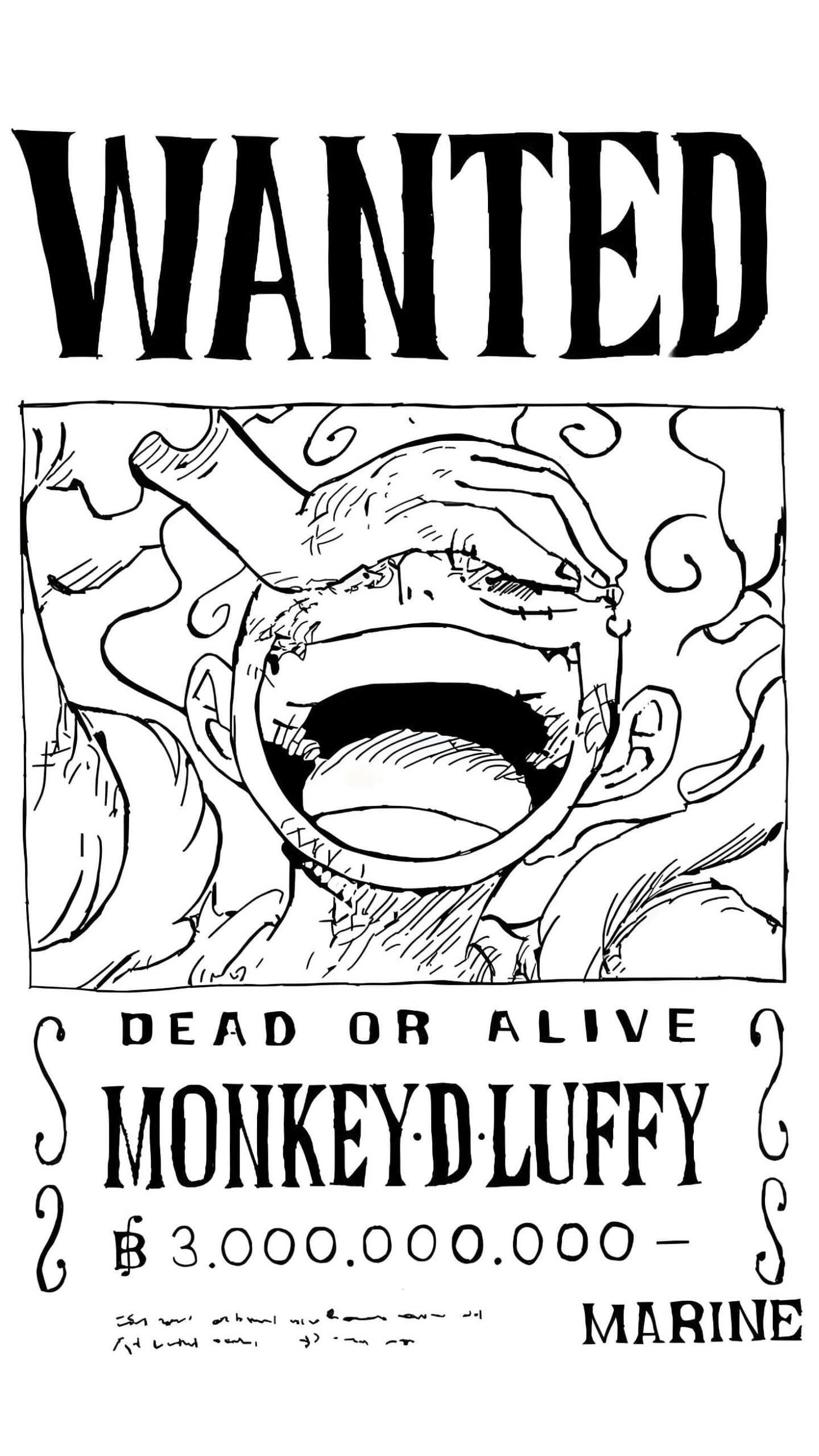 Dibujo Del Cartel De Búsqueda De Monkey D