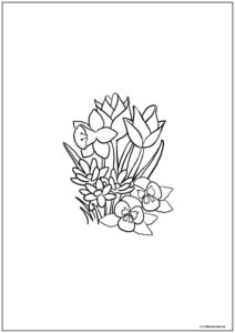 Dibujo De Amapolas Para Colorear
