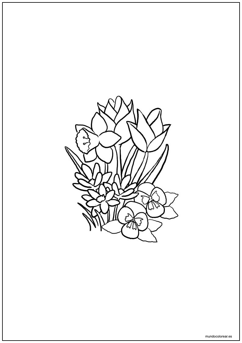 Dibujo De Amapolas Para Colorear